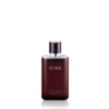 O HUI Meister Moisturizing All-in-One For Men 110ml 欧蕙 男士全效保湿乳液