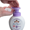 LION Anti-Bacterial Foam Hand Soap (Floral Scent) 250ml  狮王 滋润抗菌泡沫洗手液 (花香型) - Image 4