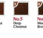 HOYU Bigen Speedy Conditioning Color (5 Deep Chestnut) 80g 美源 白发染发剂 (5 深栗色) - Image 4