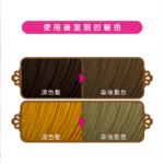 Freshlight Hair Color Clear Ash 施华蔻 魅惑娃娃漂发剂 冷棕灰 - Image 3