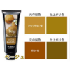 ANNADONNA EVERY HAIR COLOR TREATMENT (BEIGE)  固色锁色护发素 (浅褐色) - Image 3