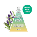 BISON HOT & SWEAT BATH SALT WITH HERB AROMA SCENT 日本燃脂爆汗泡澡浴盐  本草花香60G - Image 4