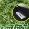 Treefrog natural air freshener Fresh Box Black Squash 200g 日本树蛙Treefrog车载空气清新盒 200g - Image 3