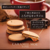 Leuer Dorre Ryuuuoldre Gateau Selection Gift Box 18 pcs/box 日本Leuer Dorre Ryuuoldre浓郁慕斯夹心饼干精选礼盒 18枚/盒 - Image 6
