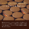 Leuer Dorre Ryuuuoldre Gateau Selection Gift Box 18 pcs/box 日本Leuer Dorre Ryuuoldre浓郁慕斯夹心饼干精选礼盒 18枚/盒 - Image 7