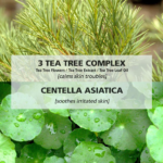 BRING GREEN Tea Tree Cica Trouble Cleansing Foam 300mL 韩国BRING GREEN 茶树修护抗痘洗面乳 300mL - Image 5