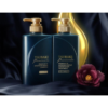 SHISEIDO Tsubaki Premium EX Intensive Repair Treatment Shampoo 资生堂 丝蓓绮 奢华黑离子修护强效EX护洗发水 490ml - Image 3