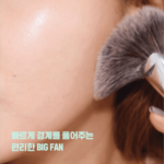 FILLIMILLI Big Fan Brush 851 韩国 FILLIMILLI 大扇形刷 851 - Image 4