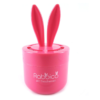 Rabbico Rabbit Air Freshener 日本Diax Rabbico兔子车载香膏香水 - Image 6