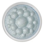 ANNA SUI Eye & Face Color P (Refill Only) 1.9G [4 Colors] - Image 4