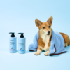 KUNDAL Nature Mild Perfume Pet White Laundry Shampoo 昆黛尔 宠物香氛洗毛精 白洗衣味 500ml - Image 3