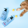 KUNDAL Nature Mild Perfume Pet White Laundry Shampoo 昆黛尔 宠物香氛洗毛精 白洗衣味 500ml - Image 5