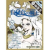 SHIN BIHADA ICHIZOKU Sheet Mask 日本美肌一族面膜 (1pc) - Image 3