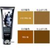 ANNADONNA EVERY HAIR COLOR TREATMENT (GRAY) 固色锁色护发素 (灰色） - Image 2