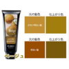 ANNADONNA EVERY HAIR COLOR TREATMENT (BEIGE)  固色锁色护发素 (浅褐色) - Image 2