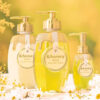 &HONEY Pixie Moist Silky Treatment 日本安蒂花子 蜂蜜飘逸柔润护发素 440ml - Image 2
