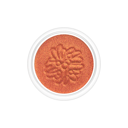 Paul & Joe - Sparking Eye Color CS  #001 Antique Button 7g 日本Paul & Joe秋季限定闪耀单色眼影 #001 暖铜橙色 7g - Image 2