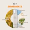 TIRTIR Milk Skin Toner 韩国TIRTIR 水润牛奶肌保湿化妆水 150ml - Image 4