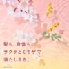 BOTANIST Botanical Moist Body Soap (Sakura & Mimosa) 植物学家 植物性保湿沐浴露 (樱花&含羞草) 490ml - Image 6