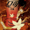 Coca-Cola Sugar Free Vanilla Flavor 可口可乐 零度无糖香草味汽水 500ml - Image 3