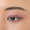 Anna Sui Eye Color Compact (05 Sorbet x Adzuki Red Bean) 安娜苏 双色眼影盘 (05 冰糕x红豆) - Image 2