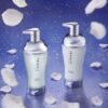 Theratis by Mixim Night Repair Shampoo 觅籍 月见草夜间修护洗发水 435ml - Image 2