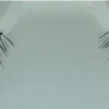 EYEYOU 100% Hand Made Eyelashes (NO.21-Bestie) 韩国EYE YOU 100％纯手工睫毛 (NO.21-好朋友) - Image 2