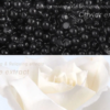 The Orchid Skin Under Clear Eye Patch [Elastic] 韩国 蒂欧丝幽兰一品眼贴 抗初老淡纹款 - Image 11