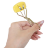 SHOBIDO Looney Tunes Tweety Eyelash Curler with Case  妆美堂x乐一通 崔弟联名限定睫毛夹 - Image 3