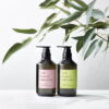 THE PUBLIC ORGANIC Super Positive Essential Oil Body Soap 日本THE PUBLIC ORGANIC 保湿有机法调花木香精油沐浴露 480ml - Image 2