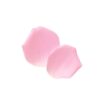 Anna Sui Rose Face Powder 300 Pink 安娜苏 玫瑰花瓣蜜粉 300 纯粉色 7g - Image 2