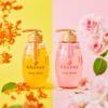 &HONEY Melty Moist Gel Body Wash 日本安蒂花子 蜂蜜绽嫩净白唤肤沐浴露 500ml - Image 5
