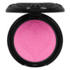 Anna Sui Black Powder Blush [5 Colors] - Image 3