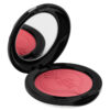 Anna Sui Black Powder Blush [5 Colors] - Image 6