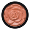 ANNA SUI Lip Color Refill 1g