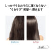 [PRE-ORDER] Orbis Essence in Hair Milk [预售] 奥蜜思 瞬效护发美容乳 140g - Image 4
